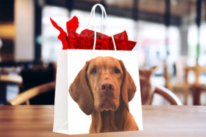 Ensure your dog loves your home as much as you do